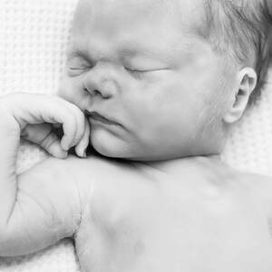 Team Page: Moseying Magpies